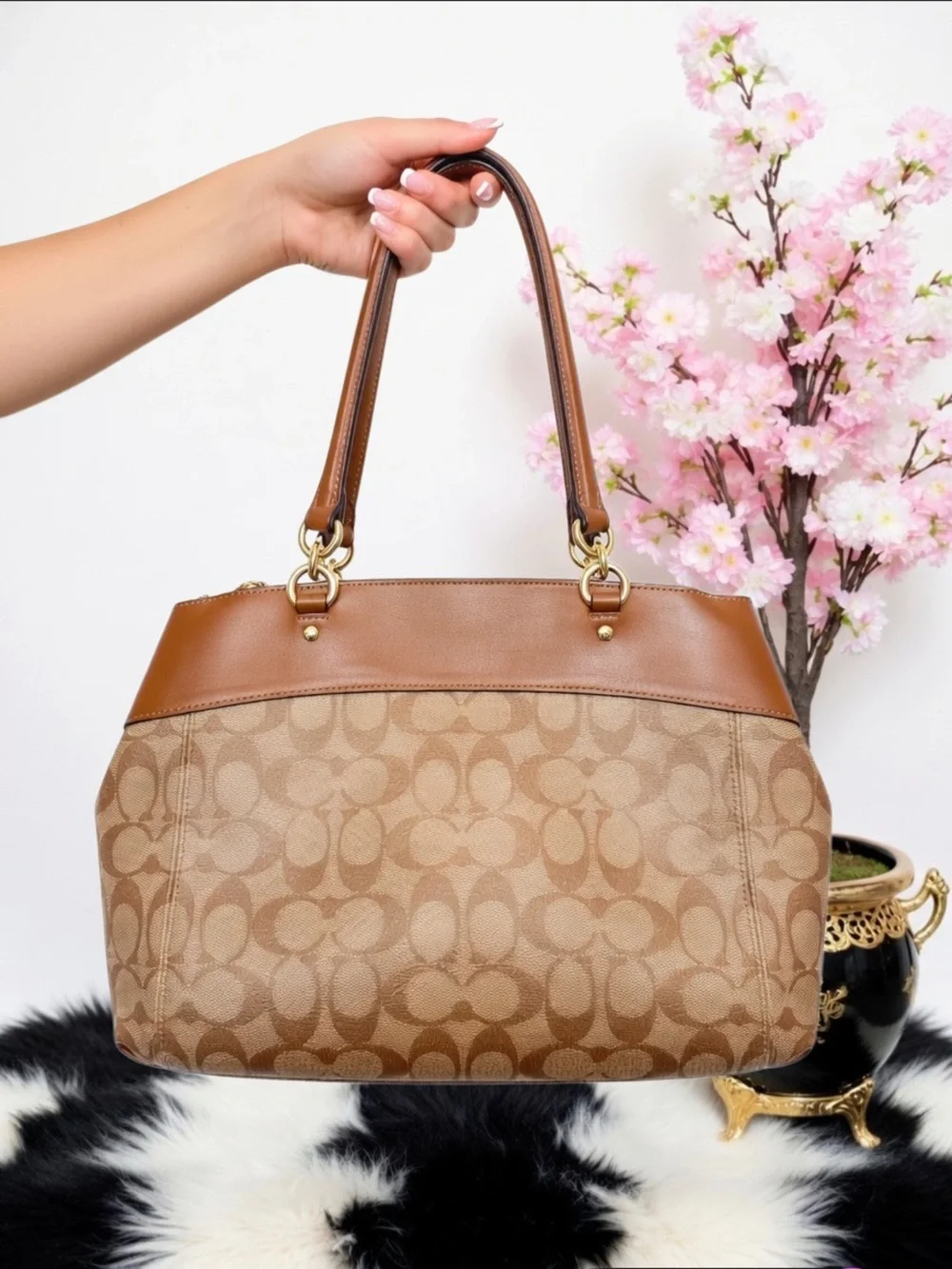 Coach brooke carryall